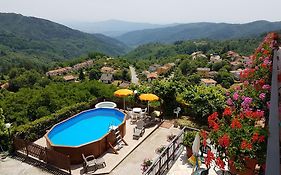 Amelia Hotel